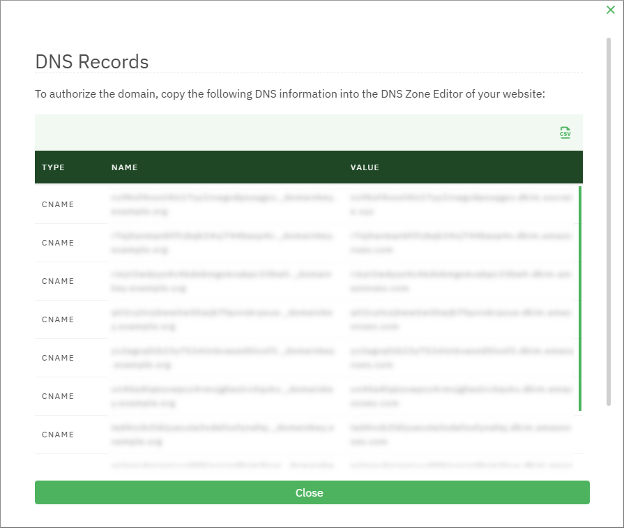 DNS records dialog box